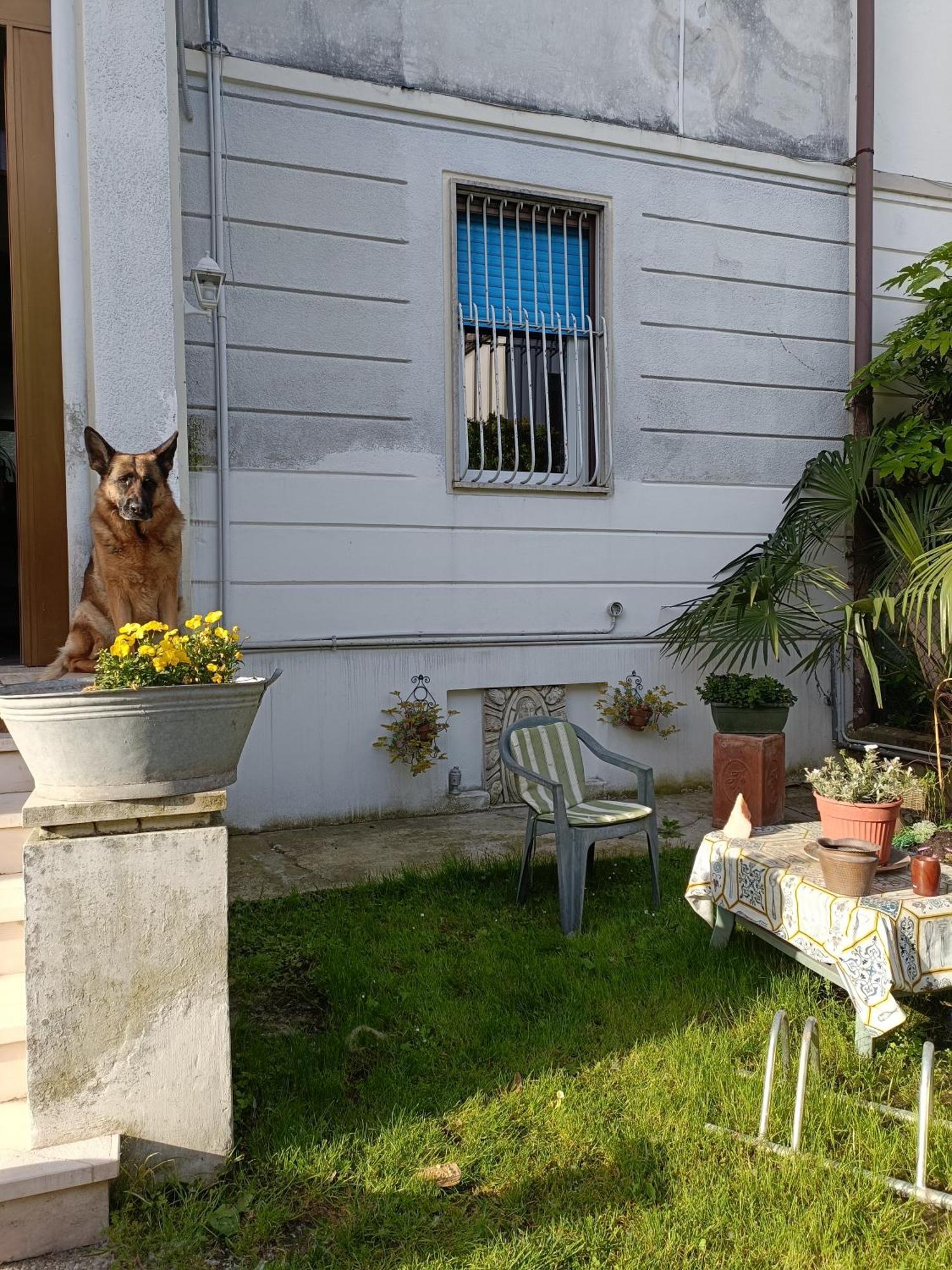 Chez Mavipagi B&B Verona Ngoại thất bức ảnh